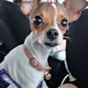 Meet your Posher, Aleisha